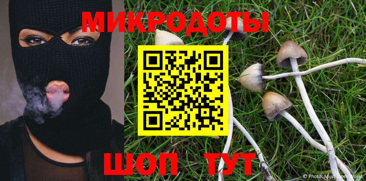 Галлюциногенные грибы мухоморы Бугуруслан